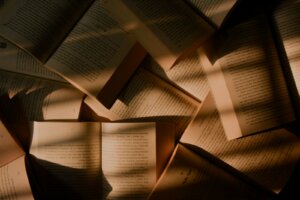 Leia mais sobre o artigo 10 melhores livros sobre liderança e mentalidade