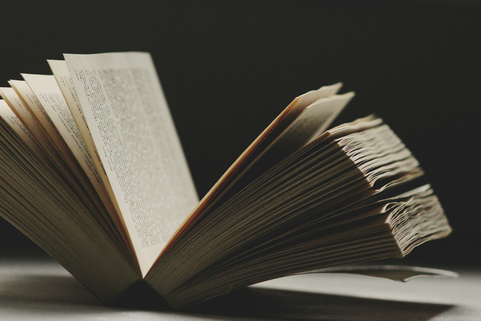 No momento, você está visualizando Os 10 melhores livros clássicos que influenciaram a moda masculina