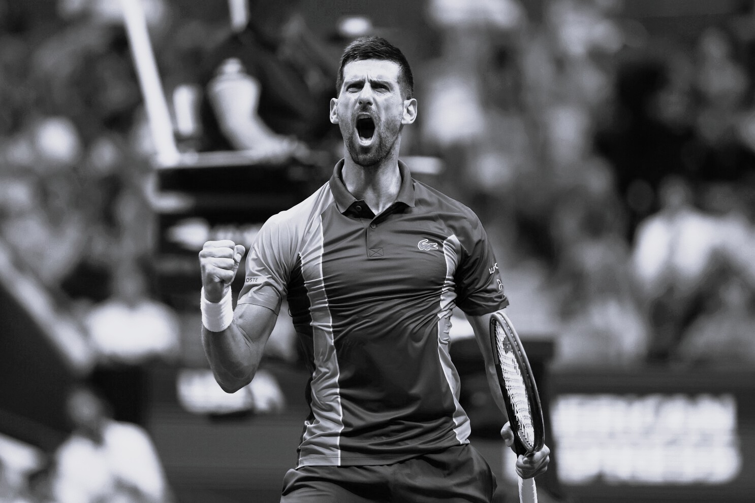 No momento, você está visualizando Novak Djokovic: a jornada do maior campeão de Grand Slams